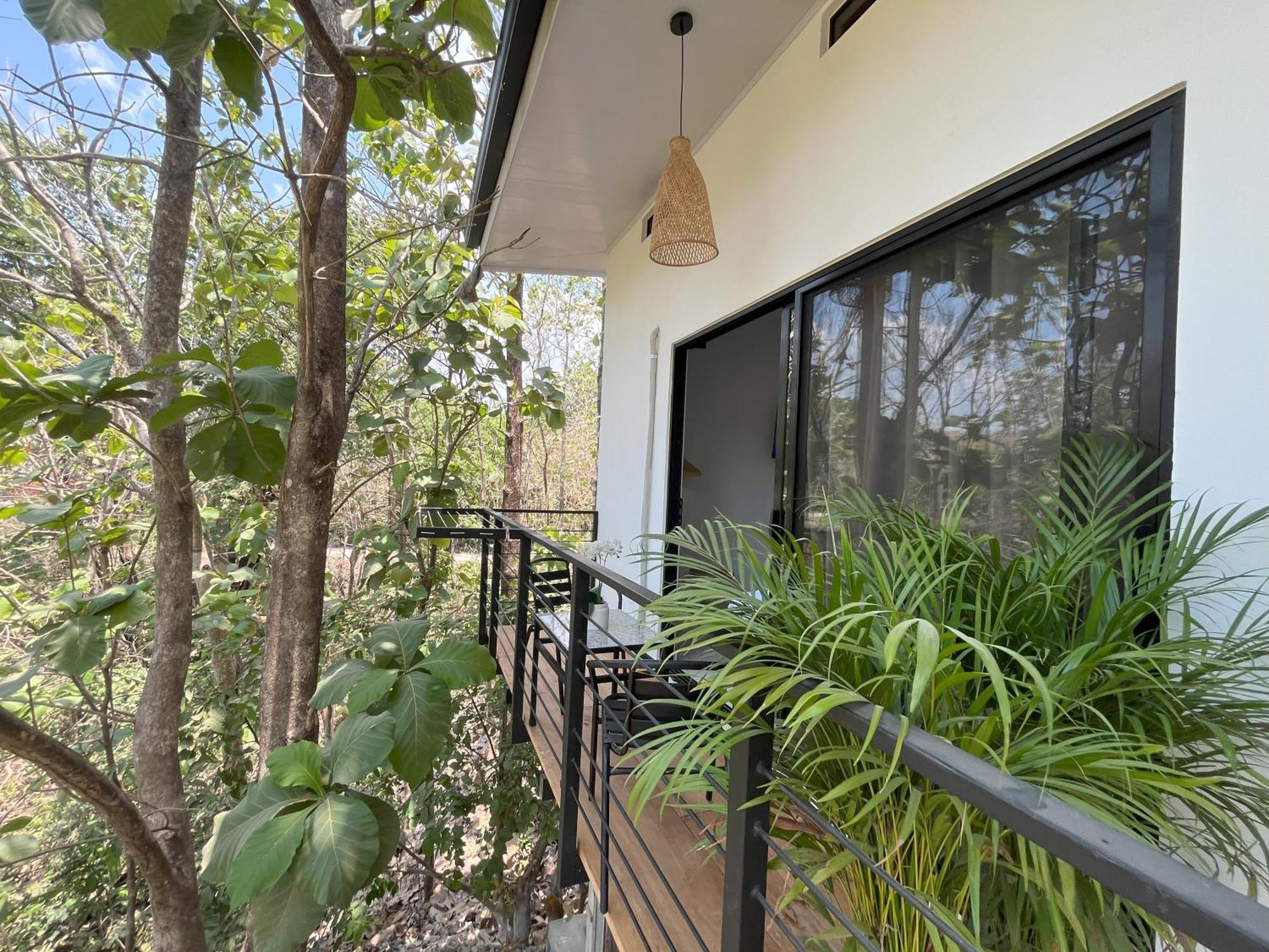Bed and Breakfast La Jungla Puerto Carrillo Exteriér fotografie